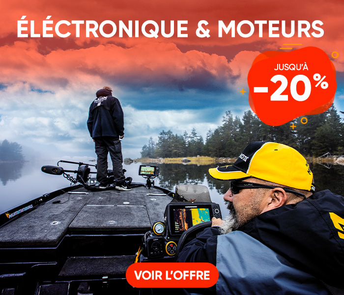 Electronique et moteur